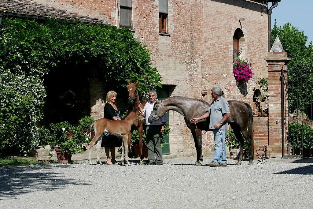 Alloggio per agriturismo Fattoria Armena Di Saraceni and Vannozzi Buonconvento