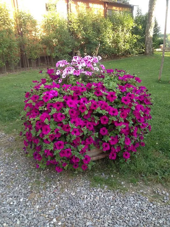 Fattoria Armena Di Saraceni and Vannozzi Buonconvento Alloggio per agriturismo